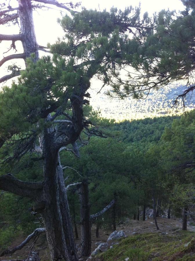 Casas Cueva El Mirador De Galera Guest House Екстериор снимка